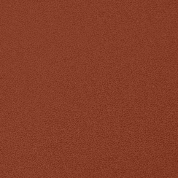EverSoft™ Indoor/Outdoor Rust 54" Vinyl Fabric 4 EverSoft™ Indoor/Outdoor Rust 54" Vinyl Fabric - Image 2