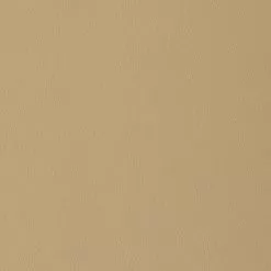 Hot Sale Fabric Store -Hot Sale Fabric Store EverSoft Smooth Indoor Outdoor Tan 54 Vinyl Fabric 2