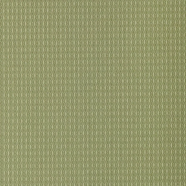 Outdura® ETC Asparagus 54" Upholstery Fabric (2671) 4 Outdura® ETC Asparagus 54" Upholstery Fabric (2671) - Image 2