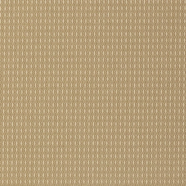 Outdura® ETC Fawn 54" Upholstery Fabric (2663) 4 Outdura® ETC Fawn 54" Upholstery Fabric (2663) - Image 2