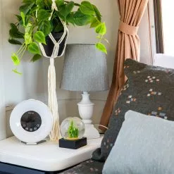 Sunbrella® 42102-0009 Nurture Haze 54" Upholstery Fabric -Hot Sale Fabric Store Sunbrella 42102 0009 Nurture Haze 54 Upholstery Fabric 701